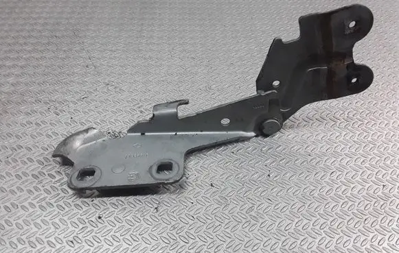 Renault Laguna II Engine bonnet/hood hinges 418248G
