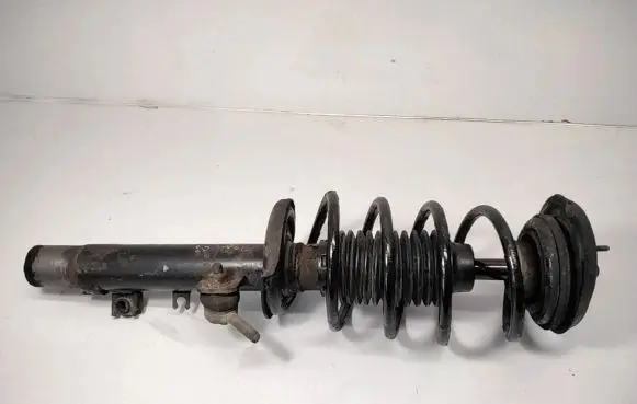 Citroen C2 Front shock absorber with coil spring