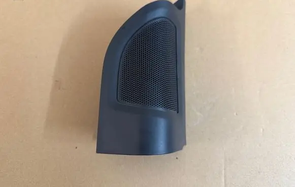 Front door speaker