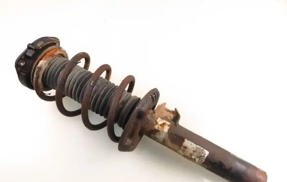 Seat Altea Front shock absorber with coil spring