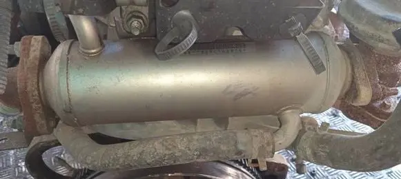 EGR valve cooler