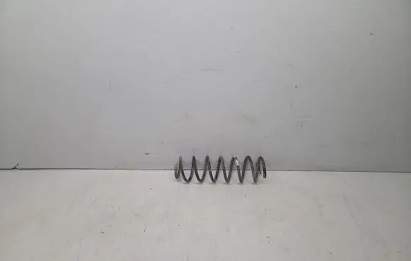 Renault Megane III Rear coil spring