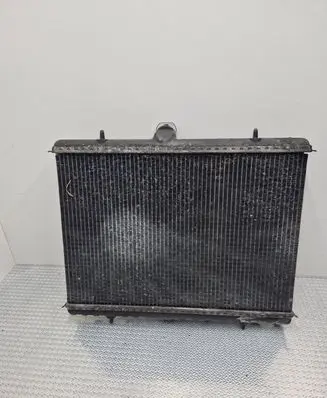Citroen Jumpy Coolant radiator E8047 89860804
