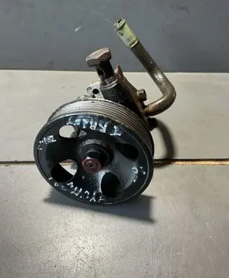 Hyundai Trajet Power steering pump 