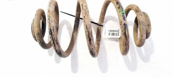 Volkswagen PASSAT B5.5 Rear coil spring