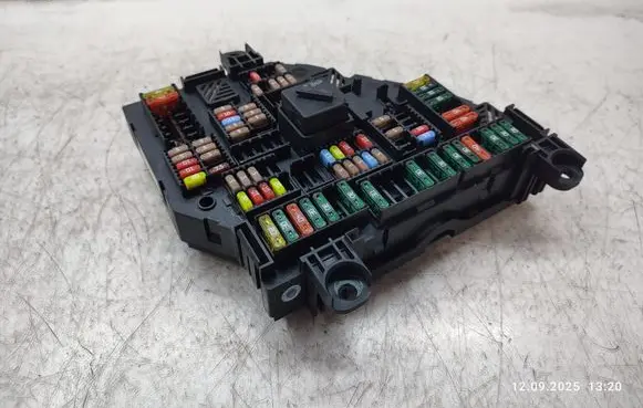 BMW 5 F10 F11 Fuse module 9234423 923442301