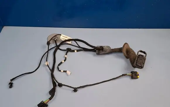 Renault Kangoo II Front door wiring loom 241250826R