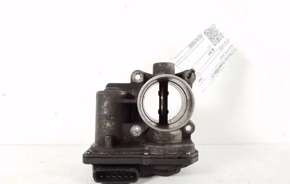 Toyota Urban Cruiser (XP110) Throttle valve 26100-0N030
