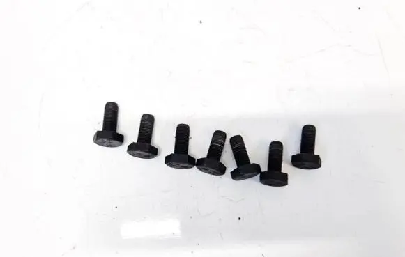 Renault Scenic I Nuts/bolts 