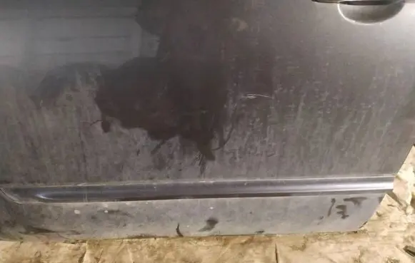 Nissan Quest Front door trim (molding) 