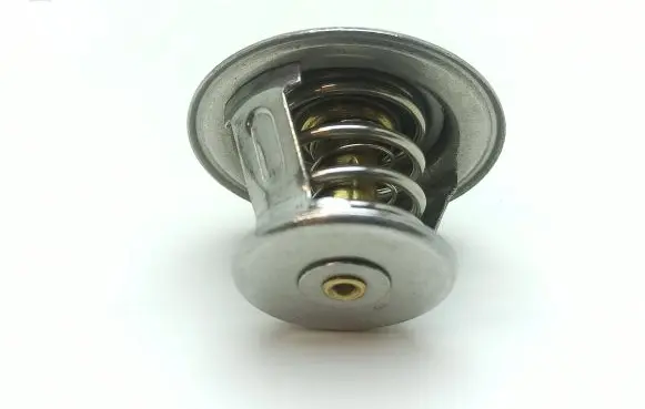 Chatenet CH40 Thermostat 9195124 811200