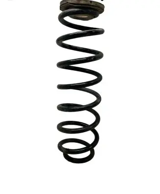 Skoda Octavia Mk2 (1Z) Rear coil spring