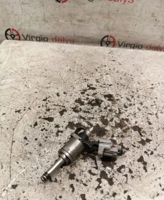Nissan Qashqai Fuel injector H8201141604