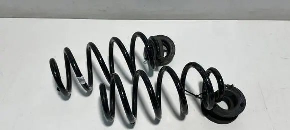 Rear coil spring