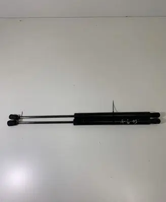 Tailgate/trunk strut/damper