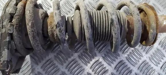 Rear coil spring