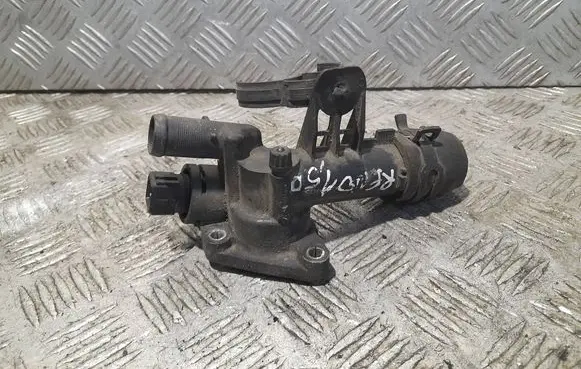Thermostat/thermostat housing