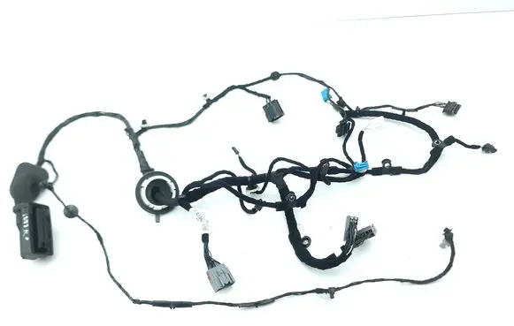 Front door wiring loom