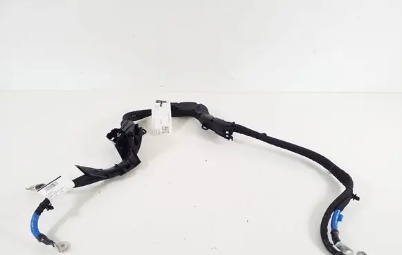 Other wiring loom