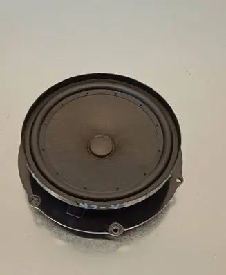 Rear door speaker