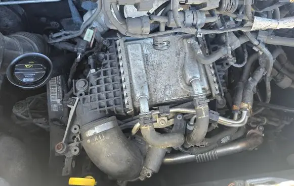 Volkswagen Transporter - Caravelle T6 Engine cxe
