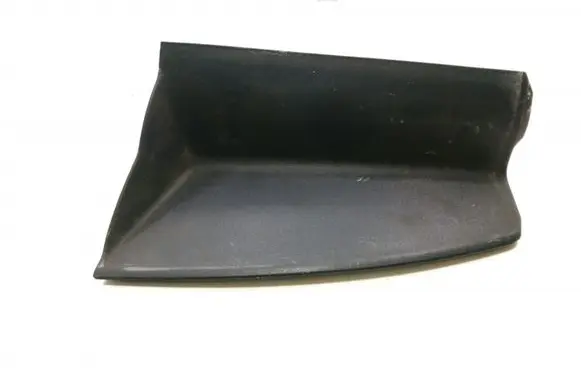 Rear/tail light trim molding