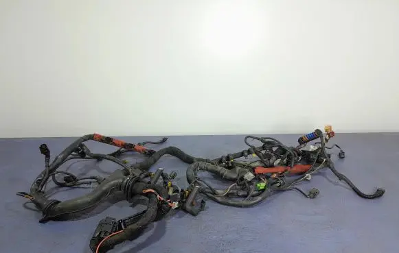 Audi A6 S6 C6 4F Other wiring loom 4F1971072LL