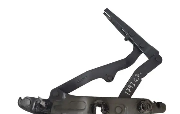 Tailgate/trunk/boot hinge