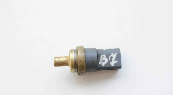 Volkswagen PASSAT B7 Oil temperature sensor 06A919501