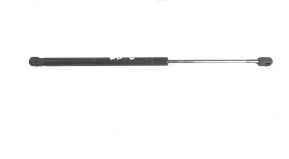 Tailgate/trunk strut/damper
