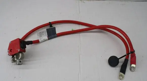 BMW 2 F22 F23 Positive cable (battery) 9253111