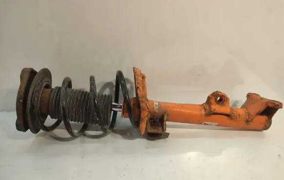 Mercedes-Benz C W204 Front shock absorber with coil spring 87501119