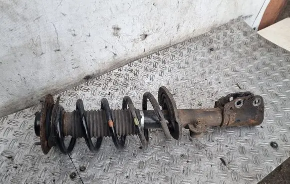 Front shock absorber with coil spring