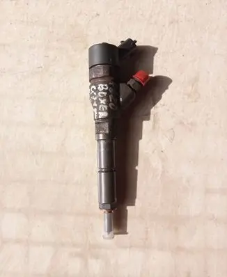 Citroen C5 Fuel injector 0445110076
