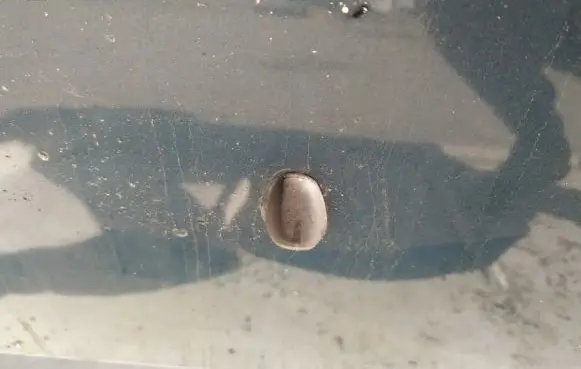 Windshield washer spray nozzle