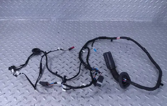 BMW X1 U11 Front door wiring loom 5B32190 5B32193 61125A43569