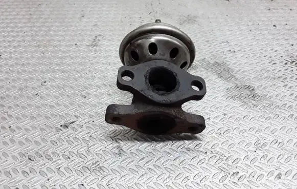 Seat Alhambra (Mk1) EGR valve 028131501E