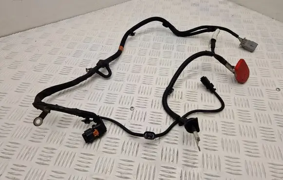 Peugeot Expert Positive cable (battery) 9820098980
