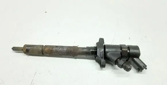 Citroen C5 Fuel injector 0445110259