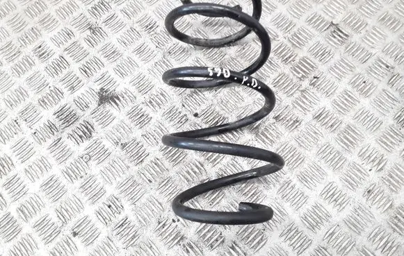 Front coil spring