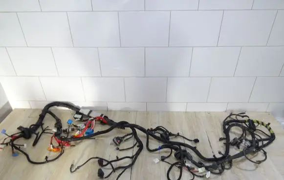 Tesla Model X Positive wiring loom 248905802B
