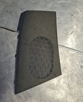 Side speaker trim/cover