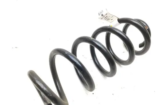 Rear coil spring