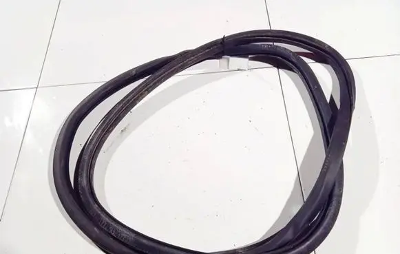 Volkswagen PASSAT B6 Rubber seal front coupe door 