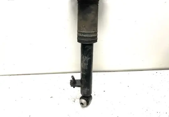 BMW X5 E70 Rear shock absorber/damper 6782877