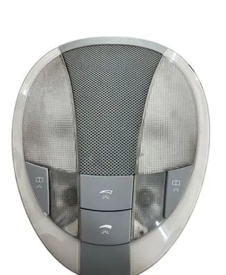 Mercedes-Benz E W211 Rear seat light A2118202001