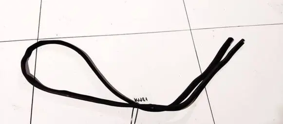 Renault Laguna II Rubber seal front coupe door 