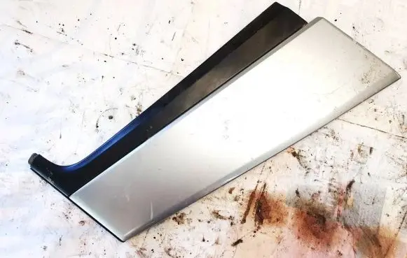 Subaru Forester SG Other rear door trim element 