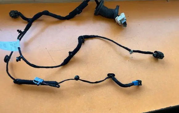 Front door wiring loom