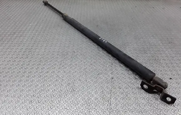 Chrysler Pacifica Tailgate/trunk strut/damper